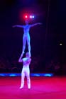 051225circus_krone143