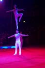 051225circus_krone145