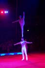 051225circus_krone146