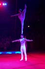 051225circus_krone147