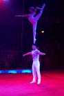 051225circus_krone149