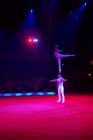 051225circus_krone150