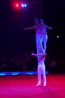 051225circus_krone151