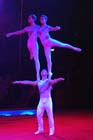 051225circus_krone153