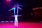 051225circus_krone156
