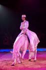 051225circus_krone160