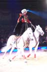 051225circus_krone164