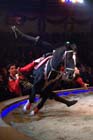 051225circus_krone172