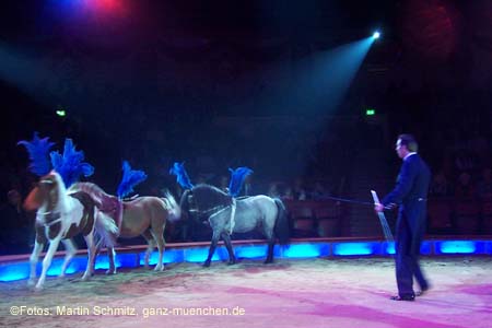 060201krone_trunk2_01