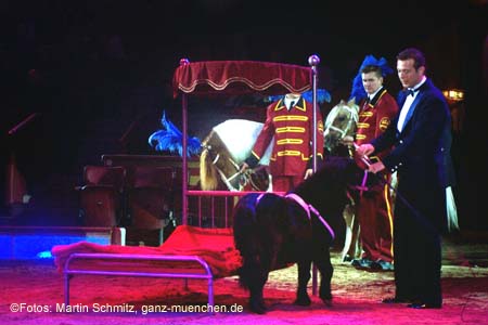 060201krone_trunk2_08