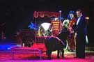060201krone_trunk2_08