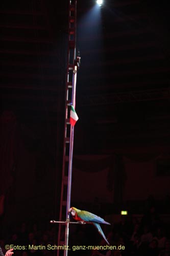 070201krone_voegel04
