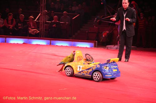 070201krone_voegel09