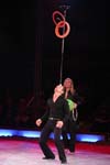 070201krone_gatto05