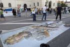 050903streetlife098