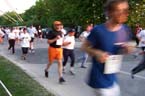 060511maxilauf_mlm267