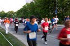060511maxilauf_mlm299