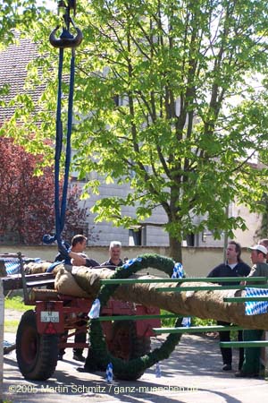 050501maibaum_allach12
