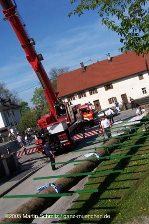 050501maibaum_allach16
