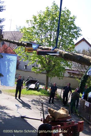 050501maibaum_allach19