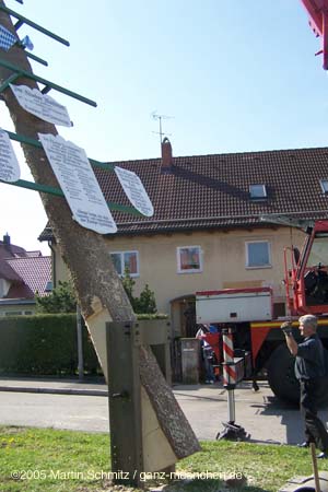 050501maibaum_allach24
