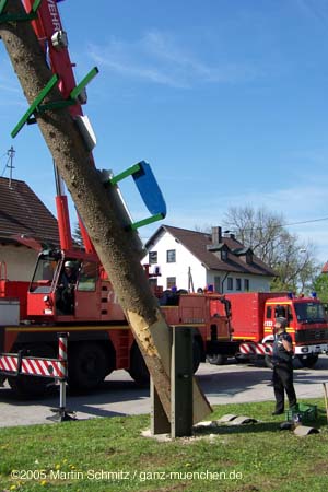 050501maibaum_allach26