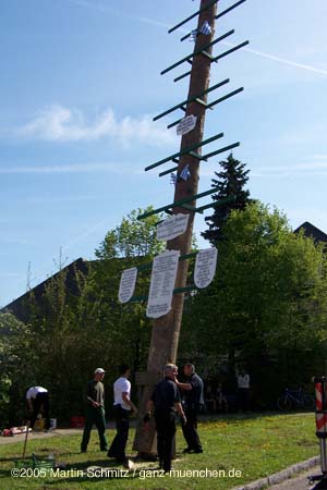050501maibaum_allach29