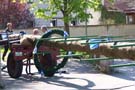 050501maibaum_allach05