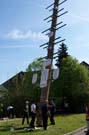 050501maibaum_allach29