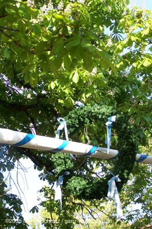 050501maibaum_stmartin12