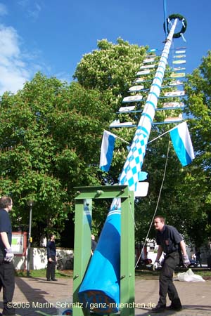 050501maibaum_stmartin19