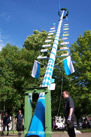 050501maibaum_stmartin20