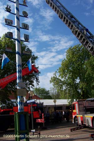 050501maibaum_stmartin35