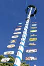 050501maibaum_stmartin22