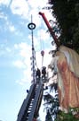 050501maibaum_stmartin33