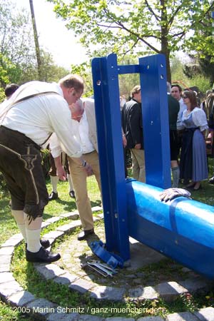 050501maibaum_thalkirchen11