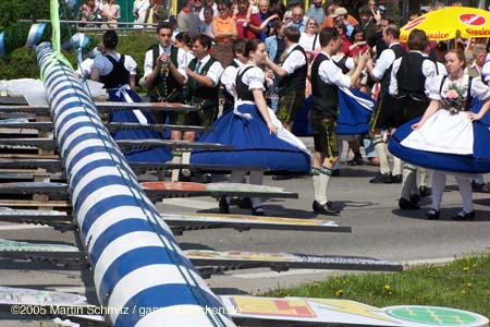 050501maibaum_thalkirchen36