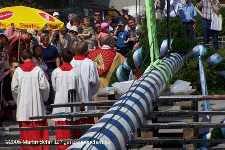 050501maibaum_thalkirchen49