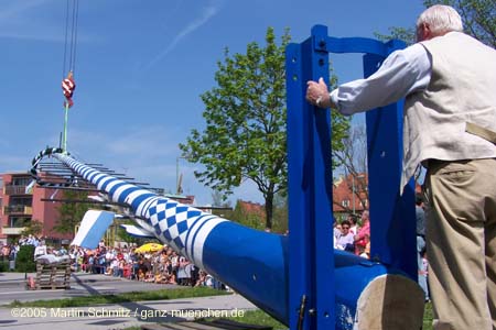 050501maibaum_thalkirchen57