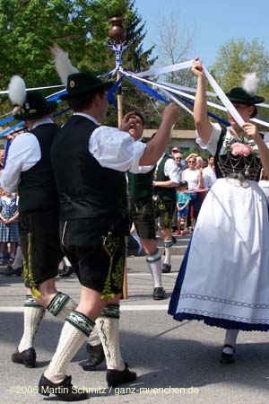 050501maibaum_thalkirchen78