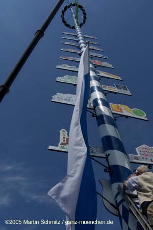 050501maibaum_thalkirchen85