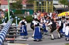 050501maibaum_thalkirchen18