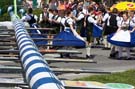050501maibaum_thalkirchen36