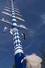 050501maibaum_thalkirchen62
