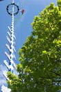 050501maibaum_thalkirchen83