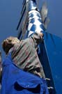 05maibaum_viktualienmarkt72