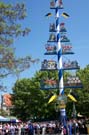 05maibaum_viktualienmarkt79