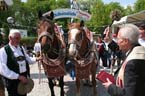 060507franzikanerg_mai124