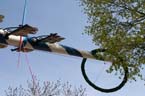 060501maibaum_truder49