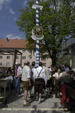 060501brunnwart_maibaum39